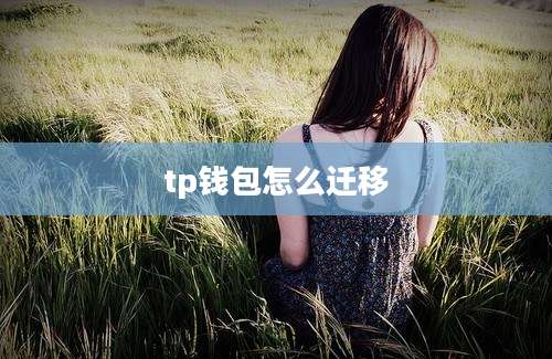 tp钱包怎么迁移