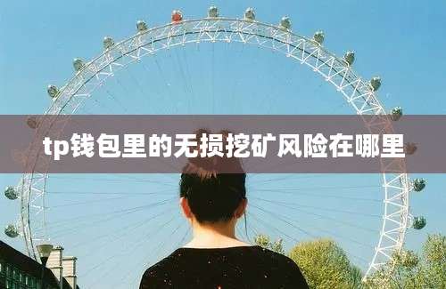 tp钱包里的无损挖矿风险在哪里