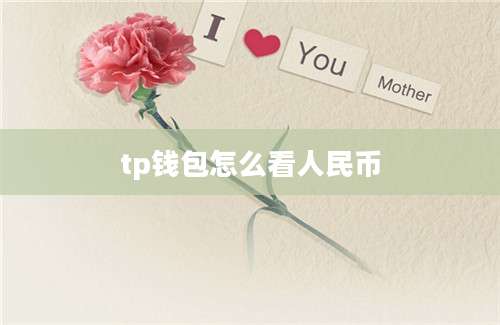 tp钱包怎么看人民币
