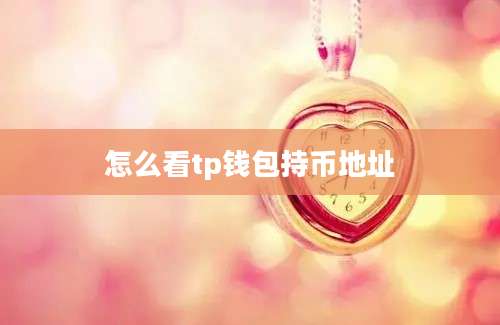 怎么看tp钱包持币地址