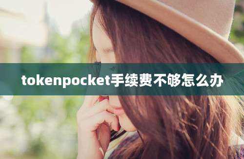 tokenpocket手续费不够怎么办
