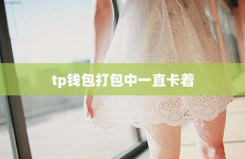 tp钱包打包中一直卡着