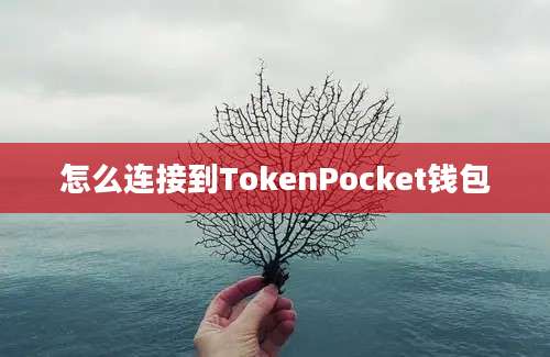 怎么连接到TokenPocket钱包