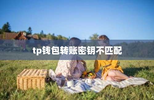 tp钱包转账密钥不匹配