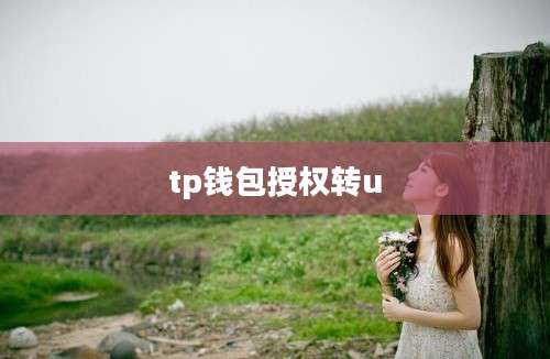 tp钱包授权转u