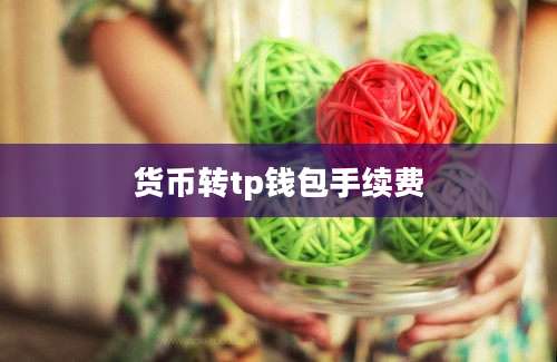 货币转tp钱包手续费
