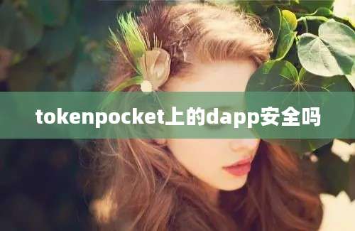 tokenpocket上的dapp安全吗