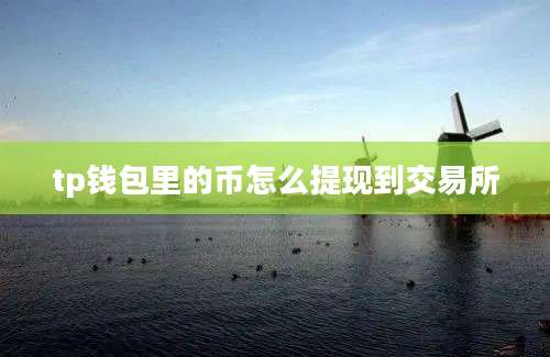 tp钱包里的币怎么提现到交易所