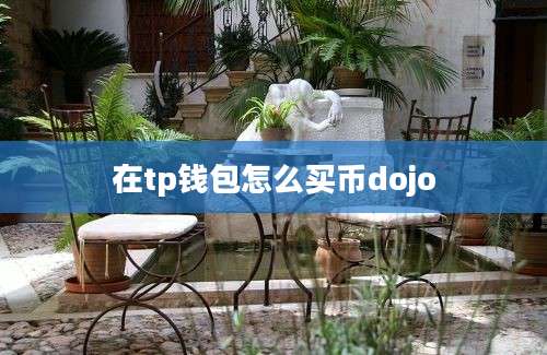 在tp钱包怎么买币dojo