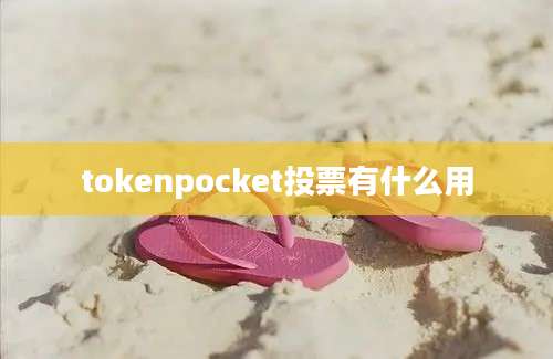 tokenpocket投票有什么用
