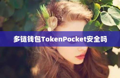 多链钱包TokenPocket安全吗
