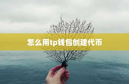 怎么用tp钱包创建代币