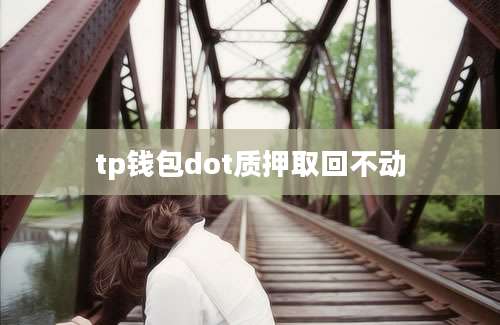 tp钱包dot质押取回不动