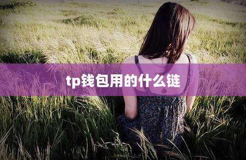 tp钱包用的什么链