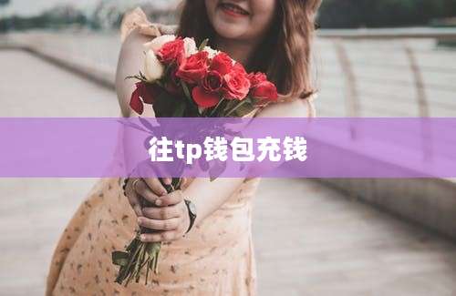 往tp钱包充钱