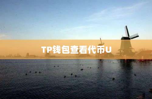 TP钱包查看代币U