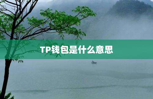 TP钱包是什么意思