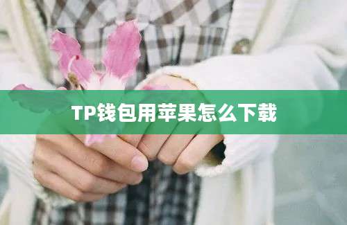 TP钱包用苹果怎么下载