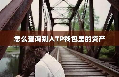 怎么查询别人TP钱包里的资产