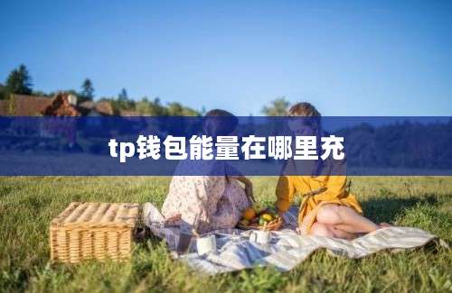 tp钱包能量在哪里充