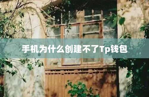 手机为什么创建不了Tp钱包