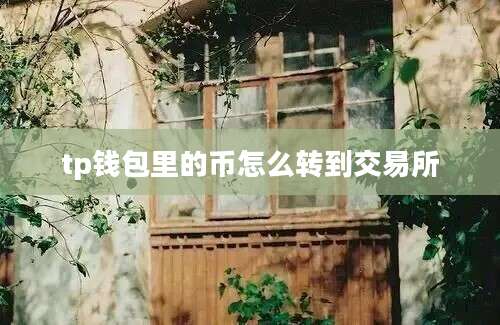 tp钱包里的币怎么转到交易所