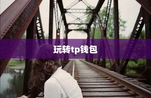 玩转tp钱包