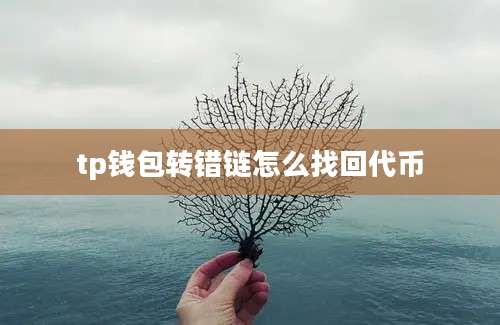tp钱包转错链怎么找回代币