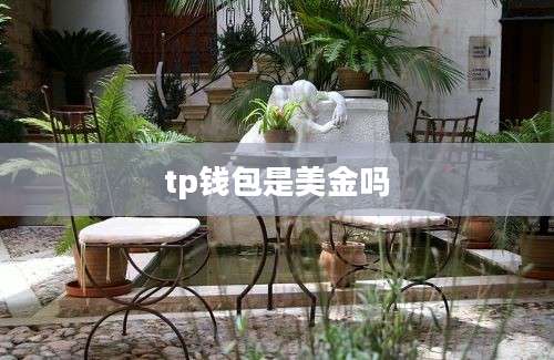 tp钱包是美金吗