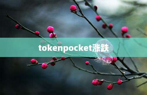 tokenpocket涨跌