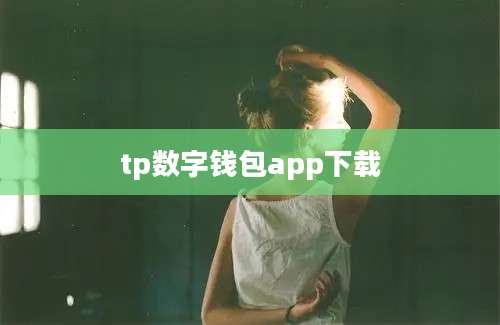 tp数字钱包app下载