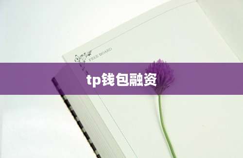 tp钱包融资