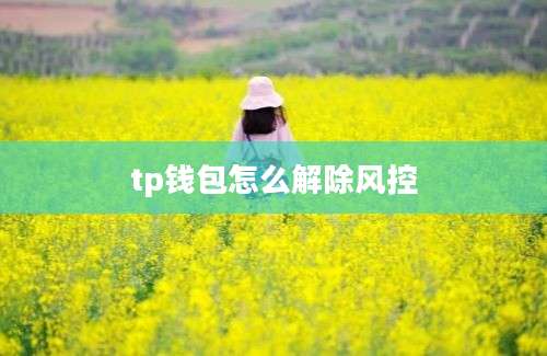 tp钱包怎么解除风控