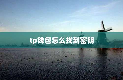 tp钱包怎么找到密钥
