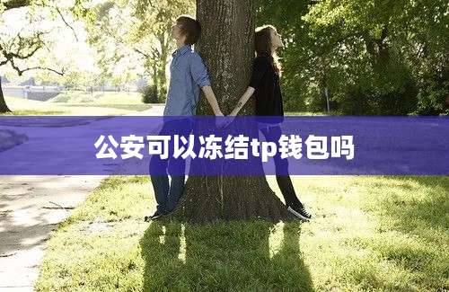 公安可以冻结tp钱包吗