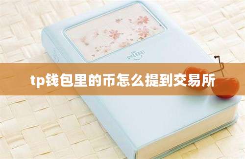 tp钱包里的币怎么提到交易所