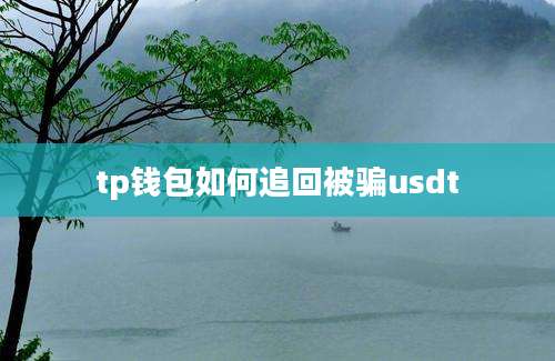 tp钱包如何追回被骗usdt