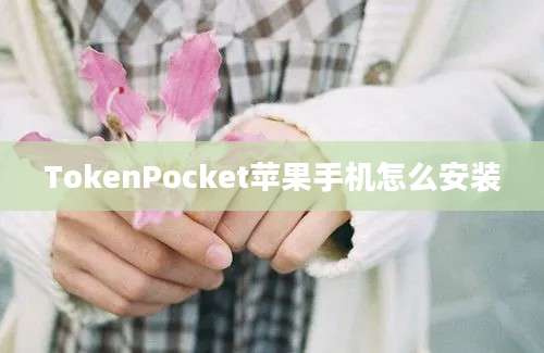 TokenPocket苹果手机怎么安装