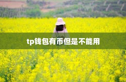 tp钱包有币但是不能用