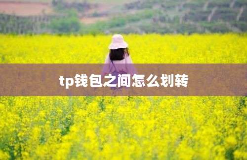 tp钱包之间怎么划转