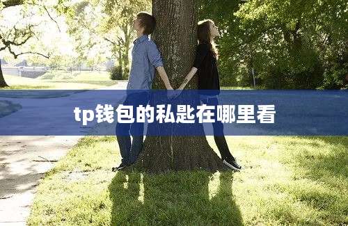 tp钱包的私匙在哪里看