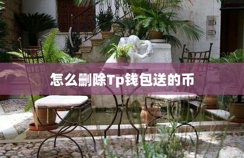 怎么删除Tp钱包送的币