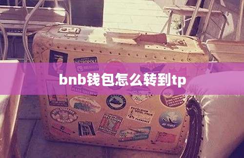 bnb钱包怎么转到tp