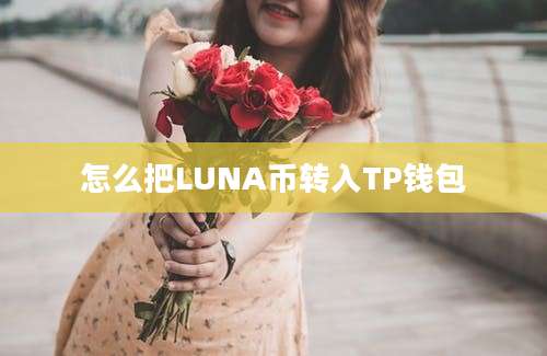 怎么把LUNA币转入TP钱包