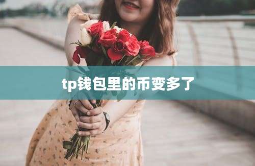 tp钱包里的币变多了