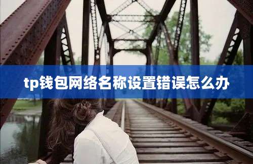 tp钱包网络名称设置错误怎么办