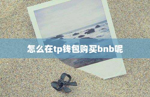 怎么在tp钱包购买bnb呢