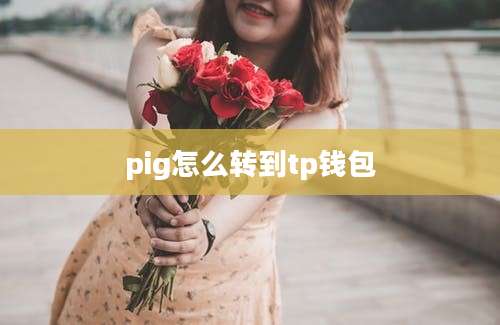 pig怎么转到tp钱包