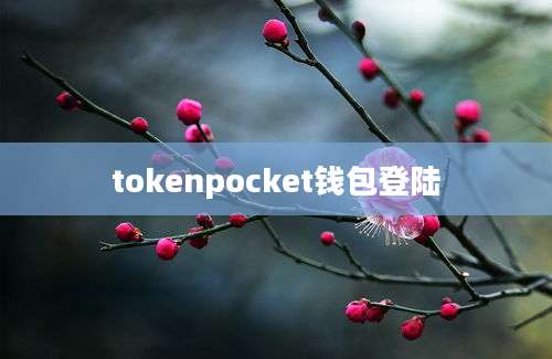 tokenpocket钱包登陆