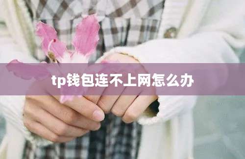 tp钱包连不上网怎么办
